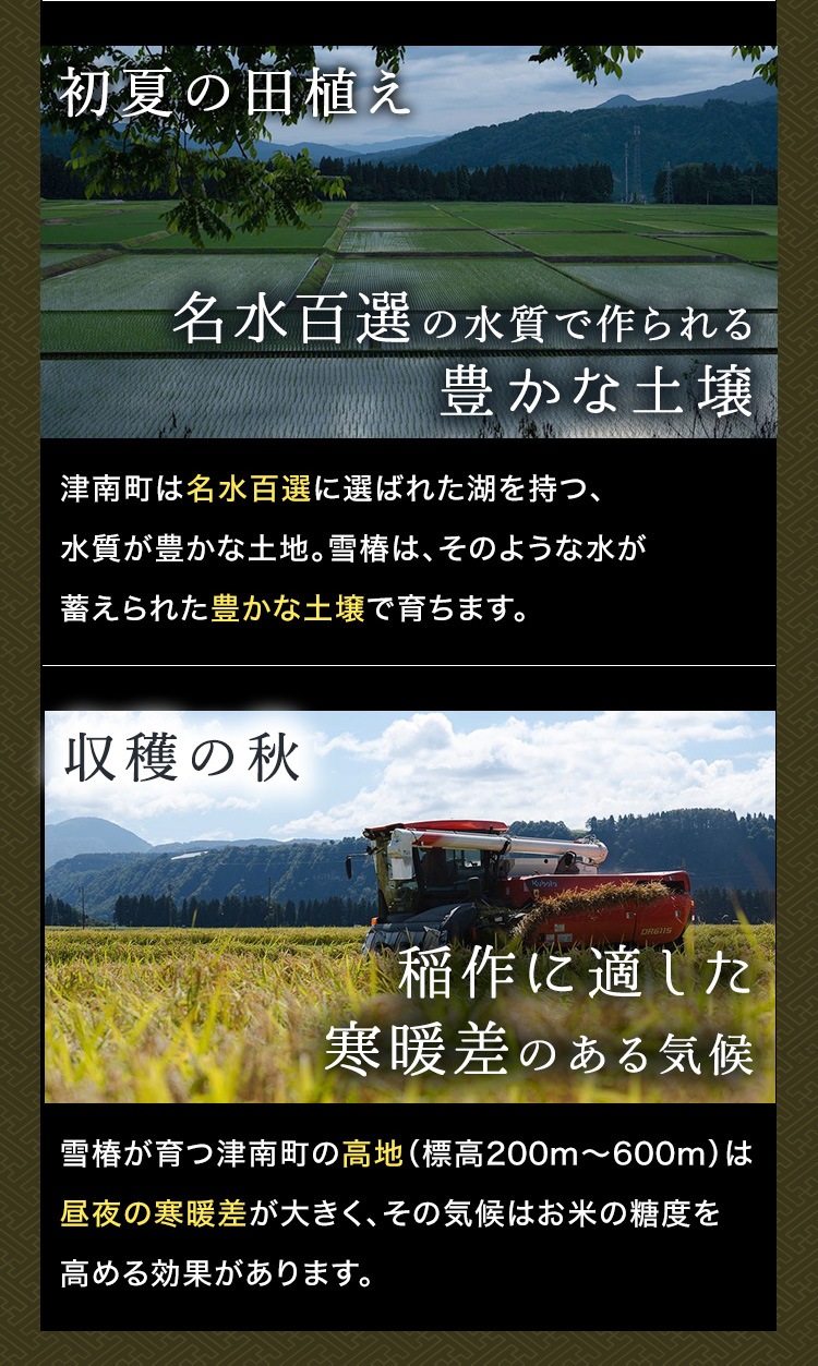 【化粧箱入り（白地） 風呂敷包み】令和7年産 最高級魚沼産コシヒカリ「雪椿」2kg×2袋