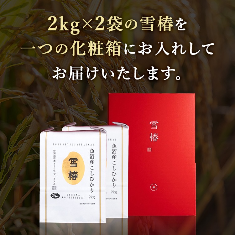 【化粧箱入り（赤地） 風呂敷包み】令和7年産 最高級魚沼産コシヒカリ「雪椿」2kg×2袋