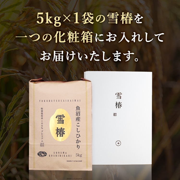 【化粧箱入り（白地） 風呂敷包み】令和7年産 最高級魚沼産コシヒカリ「雪椿」5kg×1袋