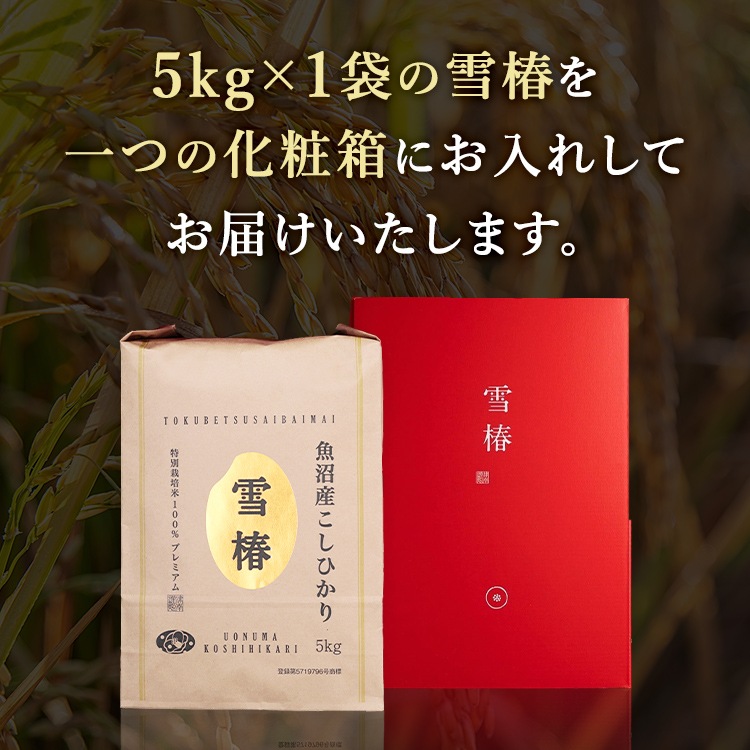【化粧箱入り（赤地） 風呂敷包み】令和7年産 最高級魚沼産コシヒカリ「雪椿」5kg×1袋