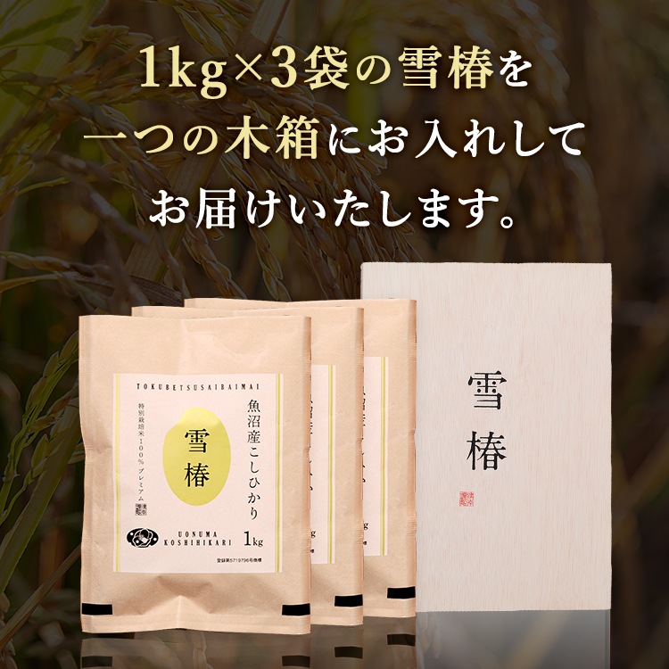 【木箱入り 風呂敷包み】令和7年産 最高級魚沼産コシヒカリ「雪椿」1kg×3袋