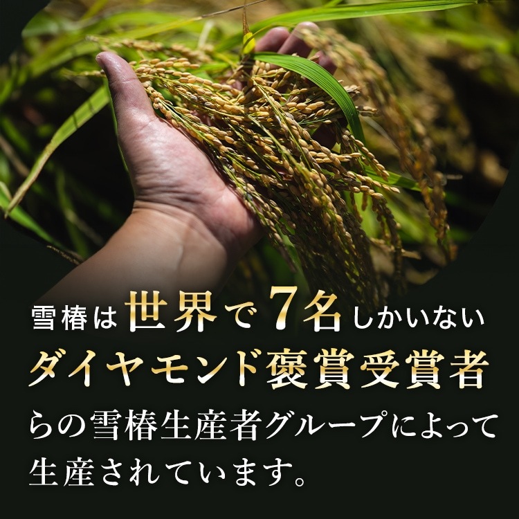 【木箱入り 風呂敷包み】令和7年産 最高級魚沼産コシヒカリ「雪椿」1kg×3袋