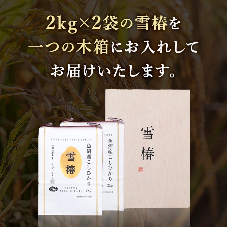 【木箱入り 風呂敷包み】令和7年産 最高級魚沼産コシヒカリ「雪椿」2kg×2袋