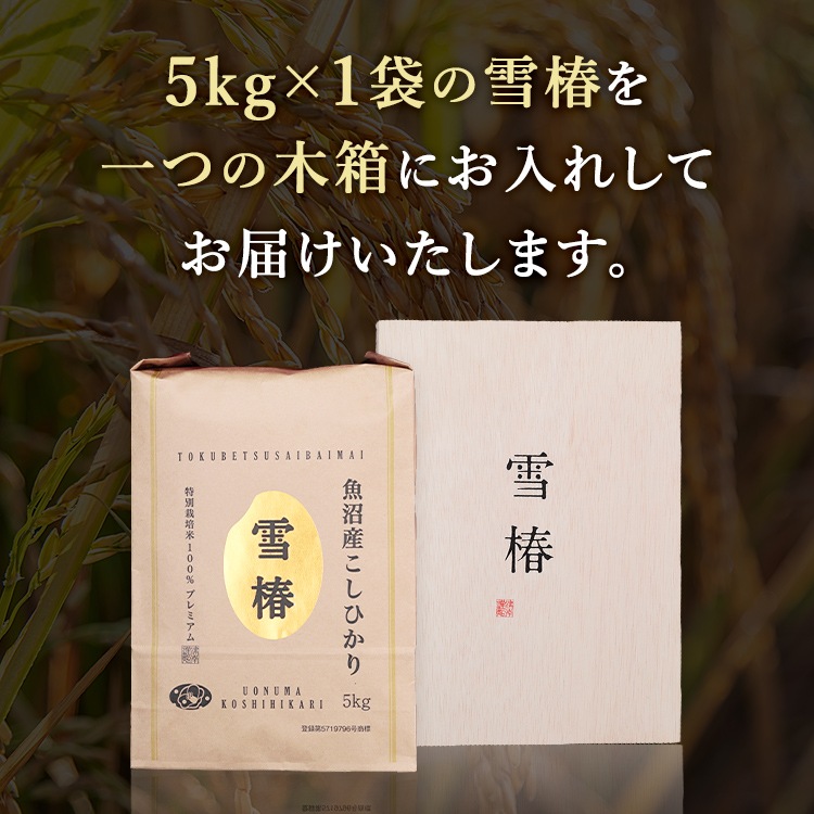 【木箱入り 風呂敷包み】令和7年産 最高級魚沼産コシヒカリ「雪椿」5kg×1袋
