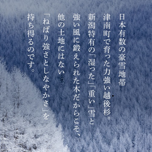 雪椿 越後杉箸 箸袋セット