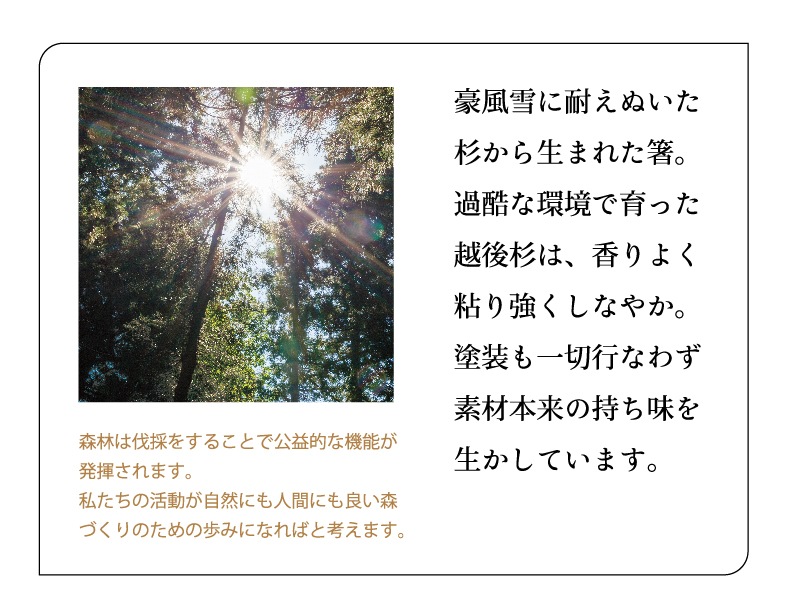 雪椿 越後杉箸 箸袋セット