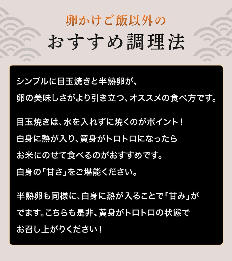 日本一こだわり卵 2パック（20個入） 送料無料
