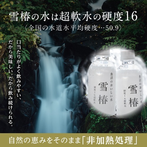 魚沼のおいしい水「雪椿」 290ｍｌ×80本入り
