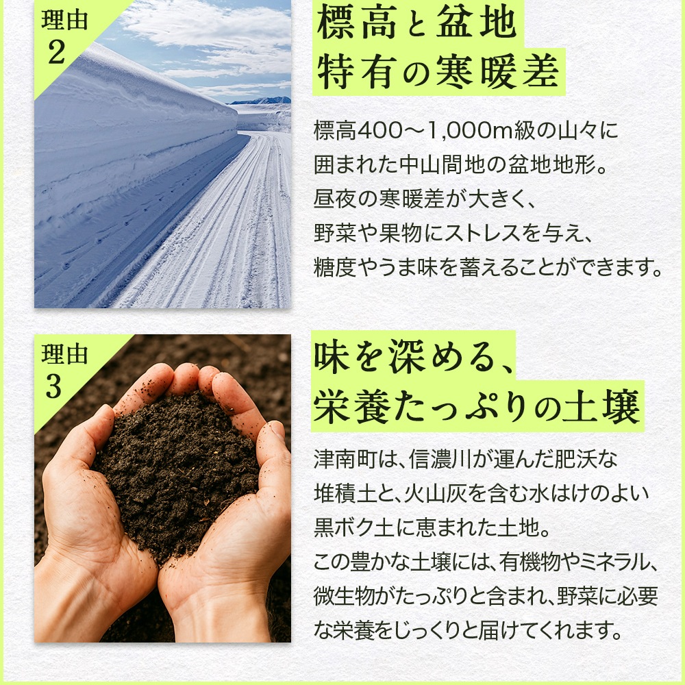 【朝採り 産地直送】グリーンアスパラ 1kg 