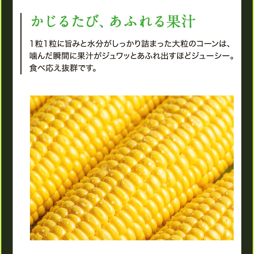 【朝採り 産地直送】とうもろこし