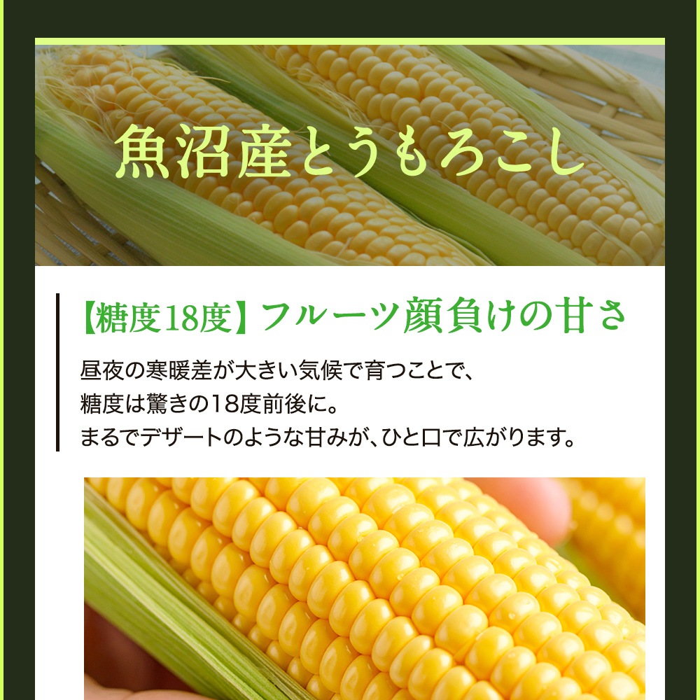 朝採り 産地直送】とうもろこし | 卵・野菜,野菜 | 最上級魚沼産