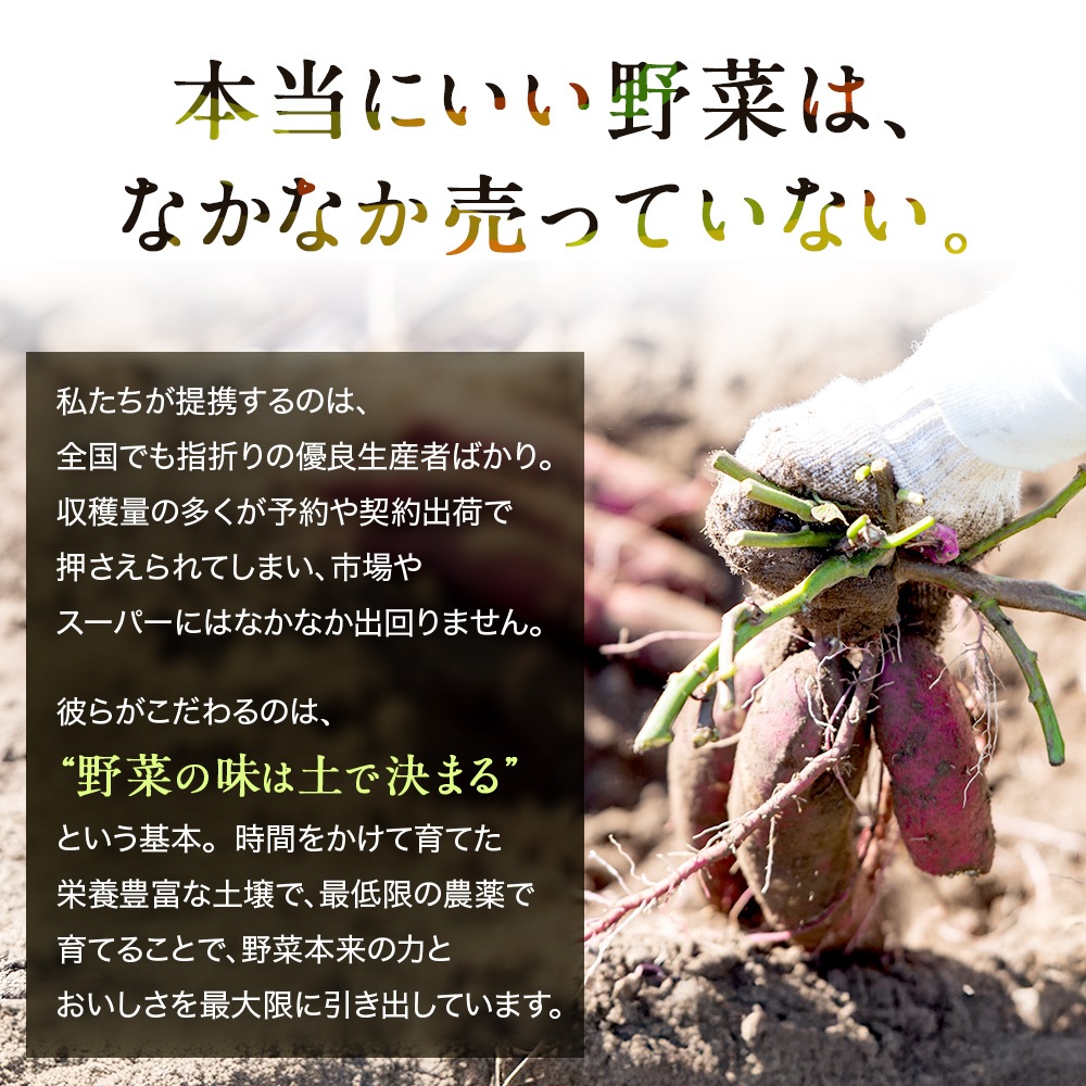 【朝採り 産地直送】とうもろこし