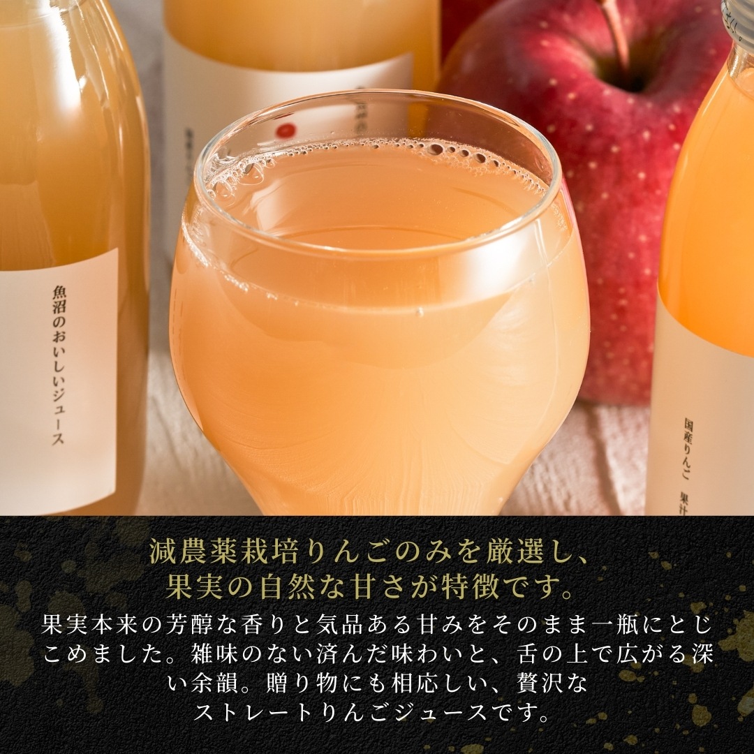 魚沼のおいしいジュース 雪椿 国産りんご 200ml×20本