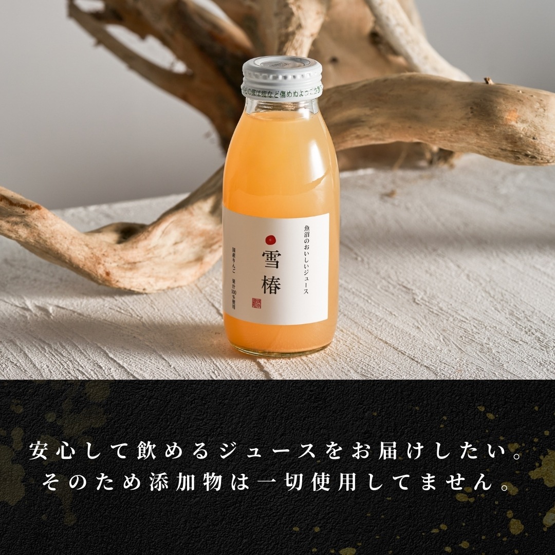 魚沼のおいしいジュース 雪椿 国産りんご 200ml×20本