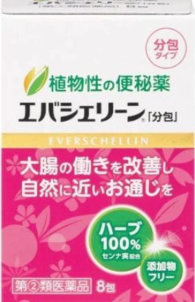 ���Х����꡼�� 8�� 2�� ��Ĳ�� ������ ���� ������ ����������