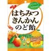 ノーベル はちみつ きんかん のど飴 110g 健康食品