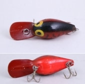 STORM WIGGLE WART