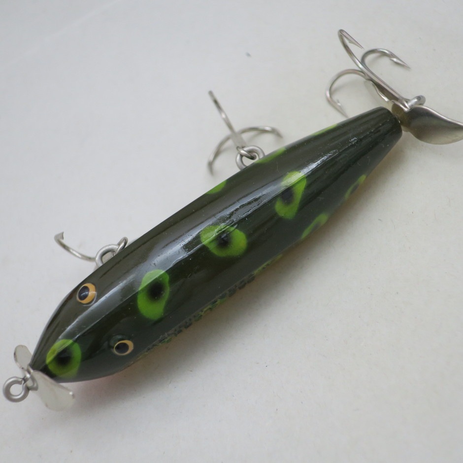 CREEK CHUB INJURED MINNOW