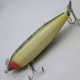 CREEK CHUB INJURED MINNOW