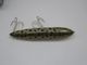 HEDDON ZARA SPOOK