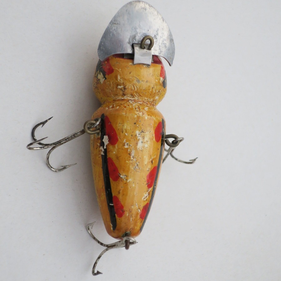 JIM DONALY DIVER