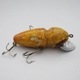 JIM DONALY DIVER