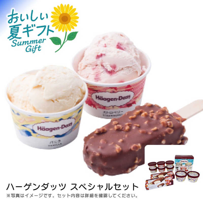 【送料込み】ハーゲンダッツ ハーゲンダッツ スペシャルセット