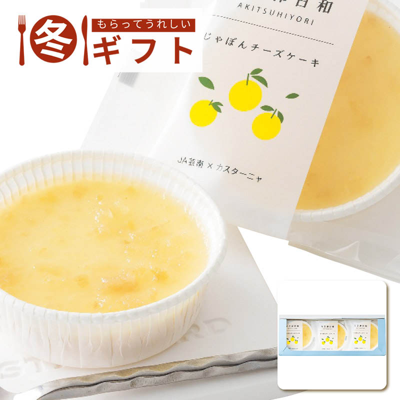 【送料込み】Castagna 安芸津日和 じゃぼんチーズケーキ3個セット