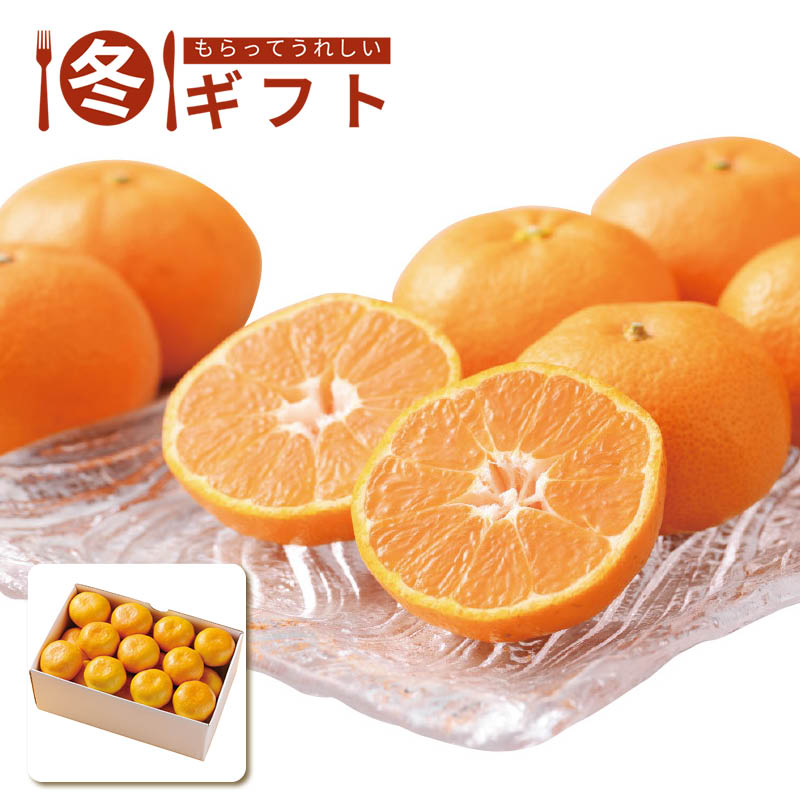 【送料込み】愛媛県産 みかん約2kg