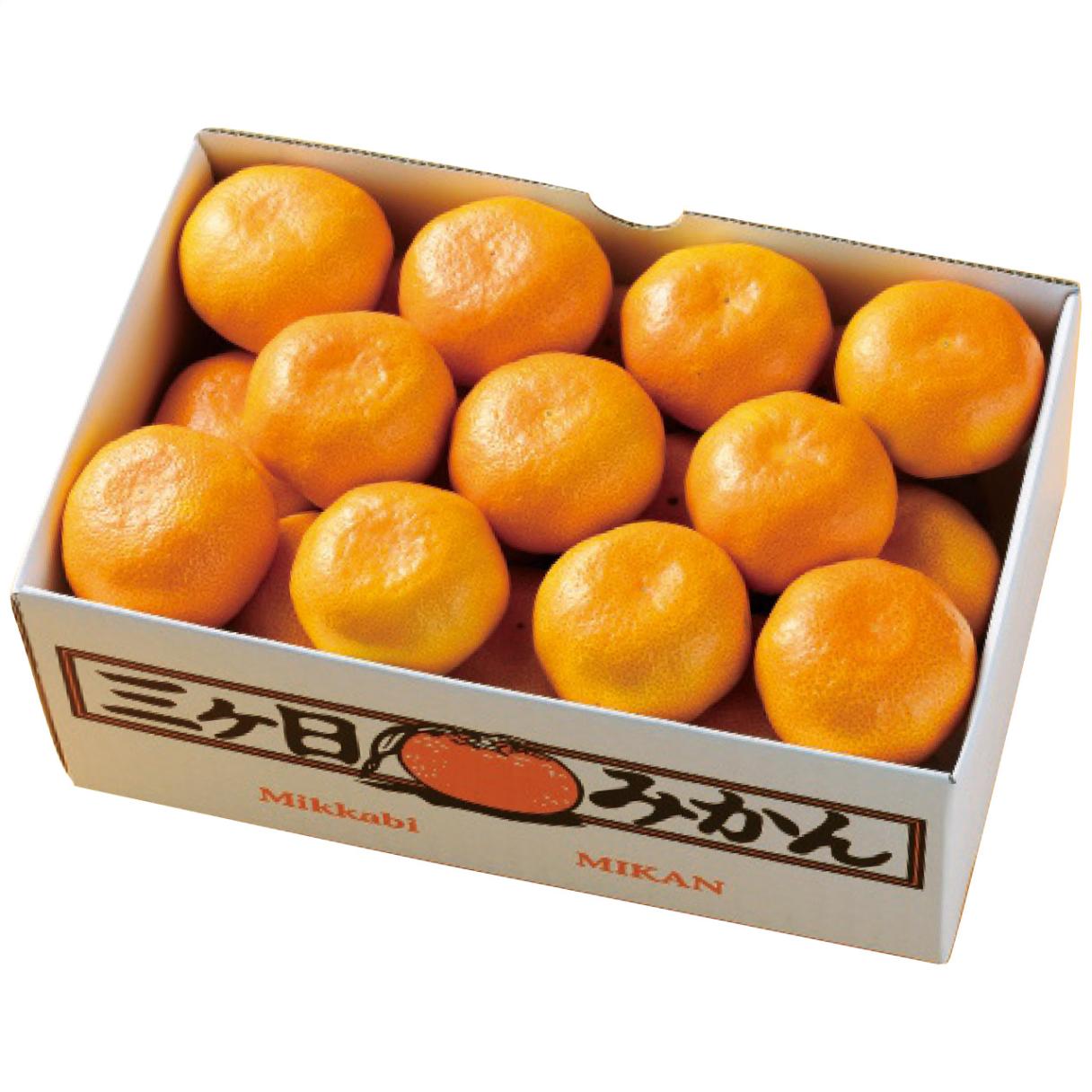 【送料込み】静岡県産 三ヶ日みかん約2.5kg