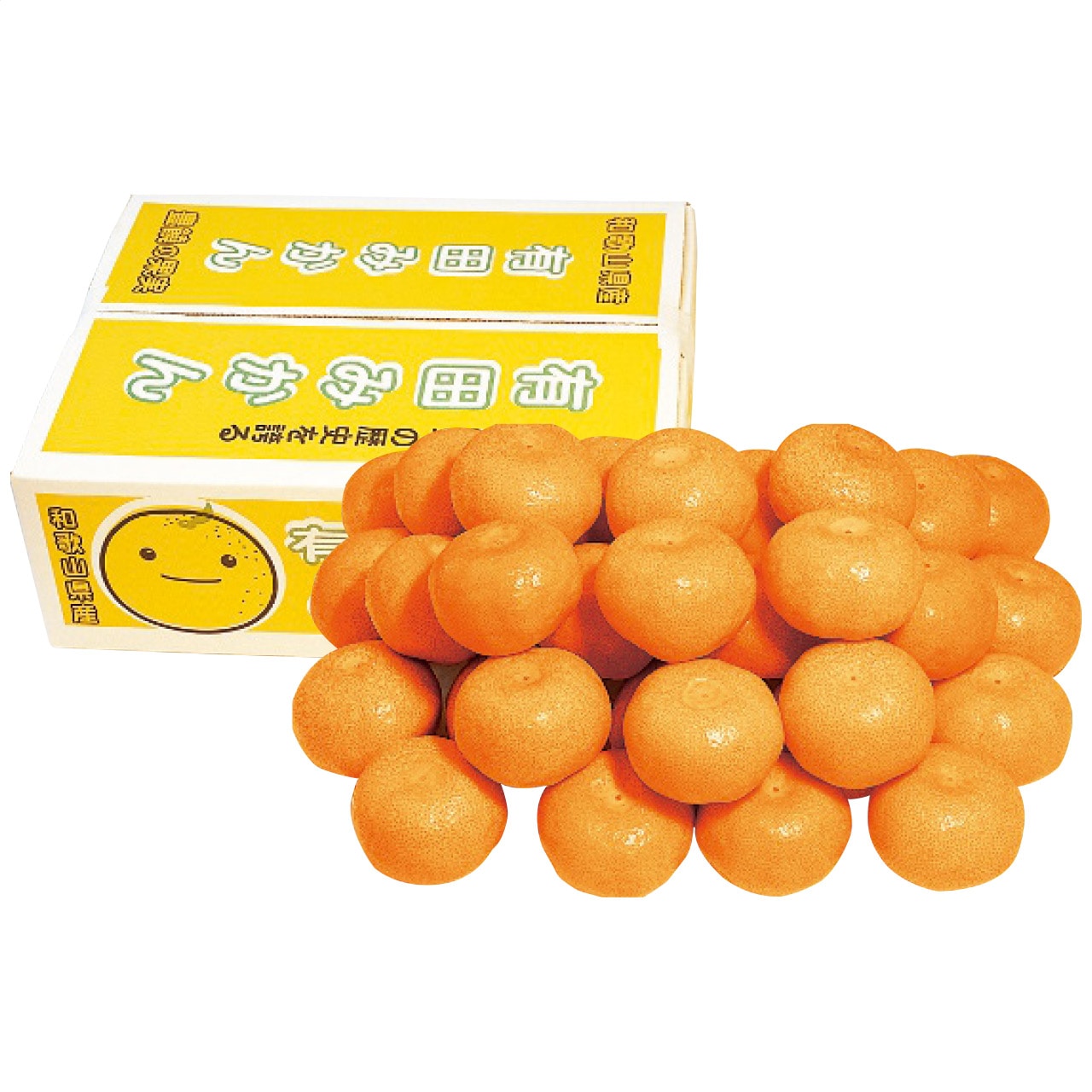 【送料込み】和歌山県産 有田みかん約5kg