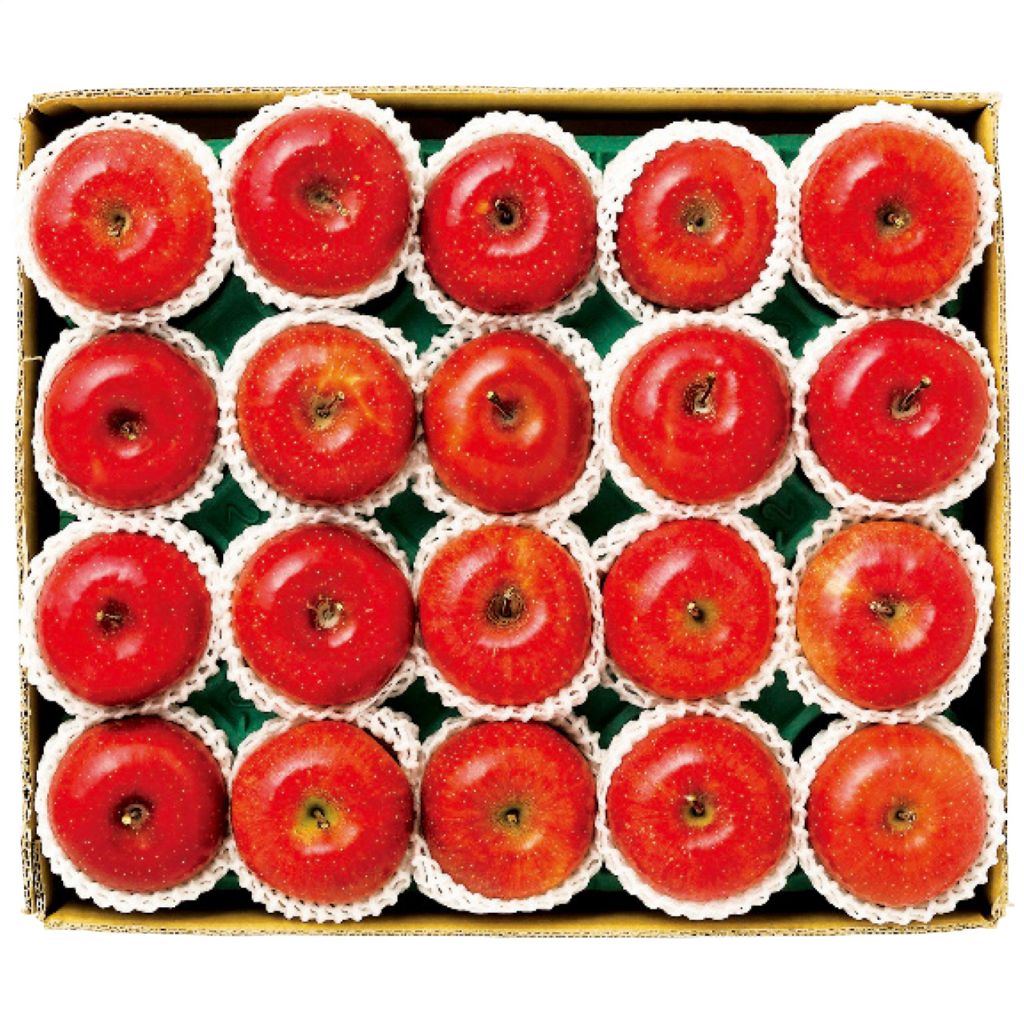 【送料込み】長野県産 信州サンふじ 約4.8kg