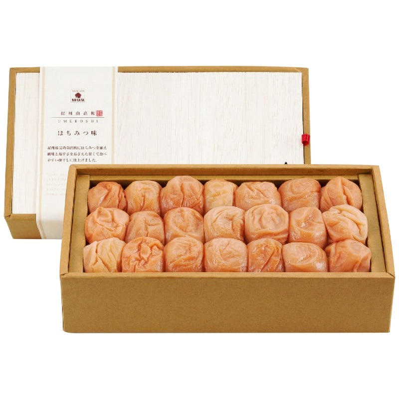 【送料込み】梅道 紀州南高梅はちみつ味