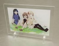 �ץ�������󡡥�����륹����ɡ�������������