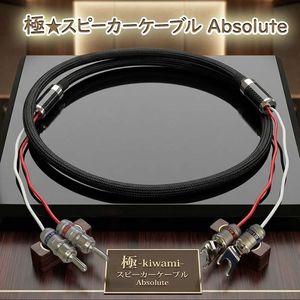 �� -kiwami- ���ԡ����������֥� Absolute