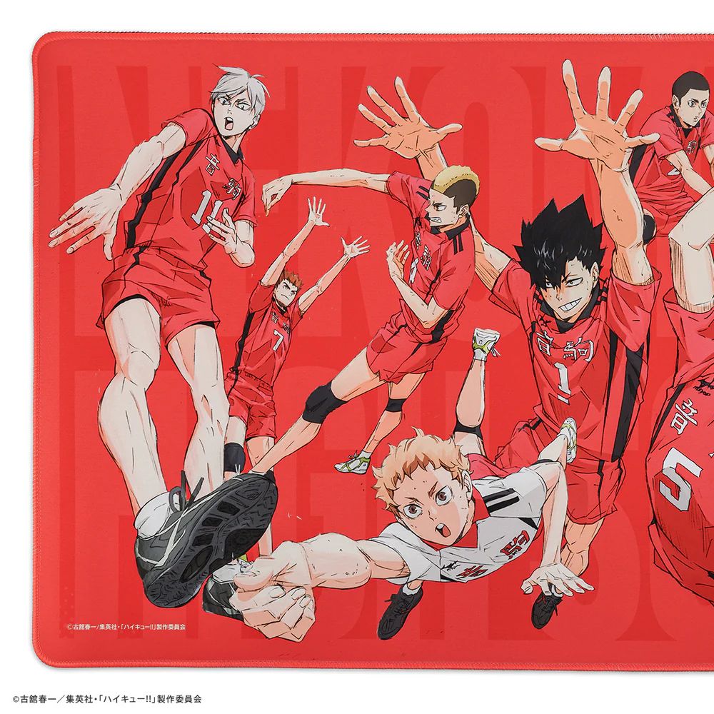 �ϥ����塼!! �� �դ⥳�� �����ߥ󥰥ޥ����ѥå� 2XL ����⹻��ǥ�