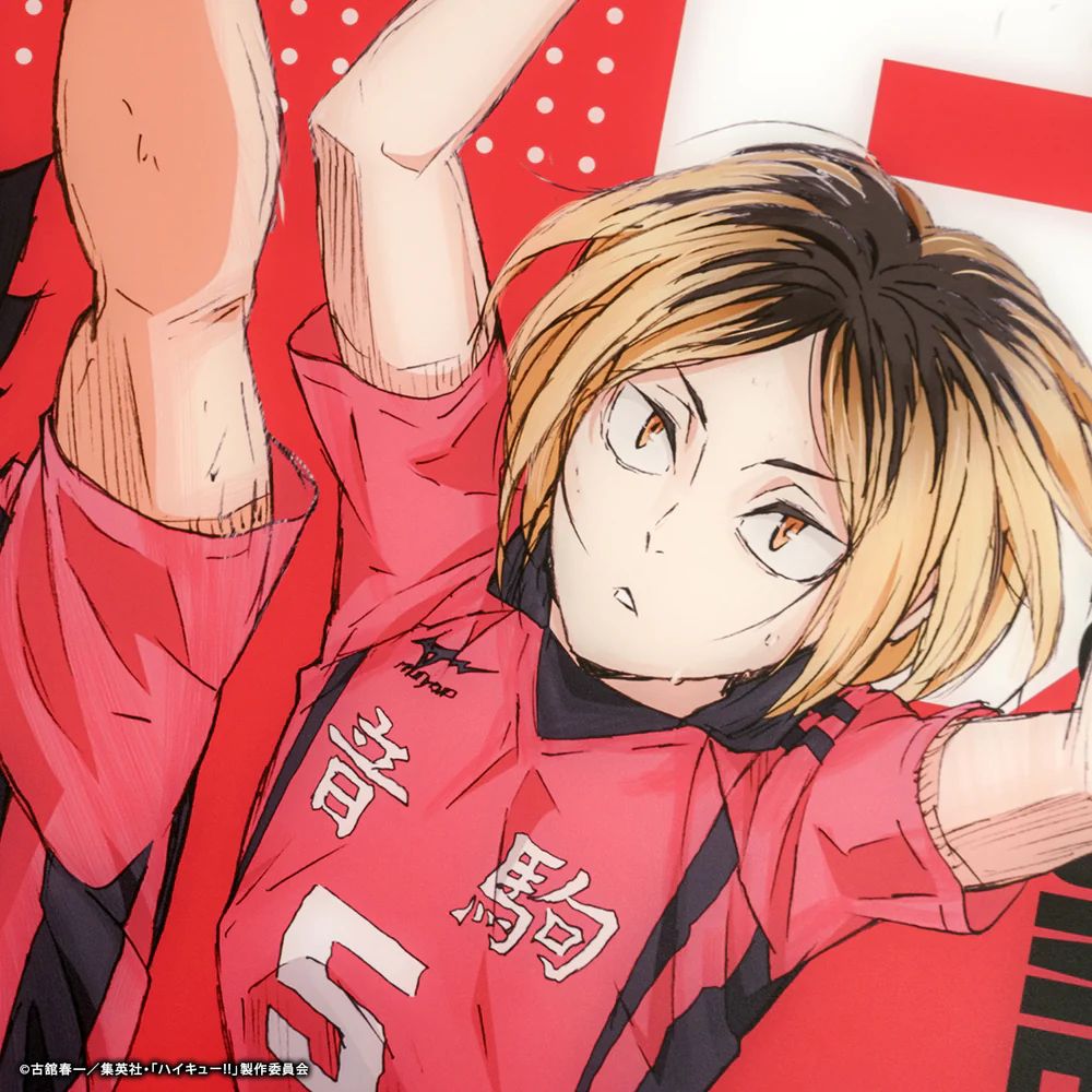 �ϥ����塼!! �� �դ⥳�� ���饹�ޥ����ѥå� 2XL ����⹻��ǥ�