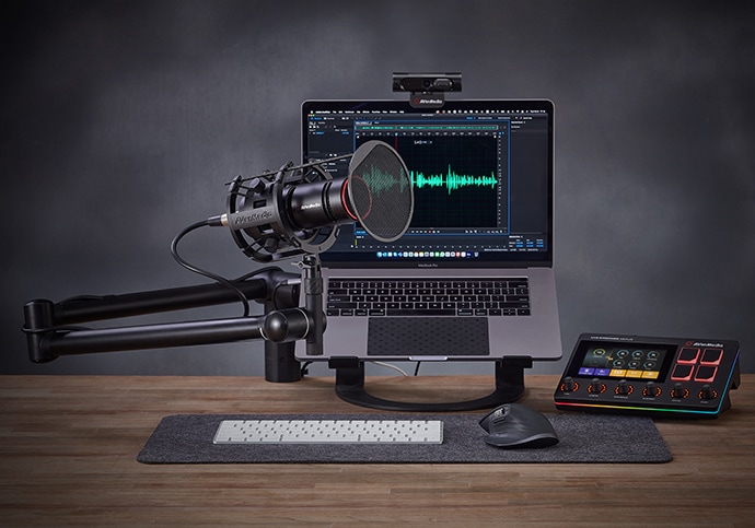 AVerMedia MIC 330 ꥨʥߥåޥ