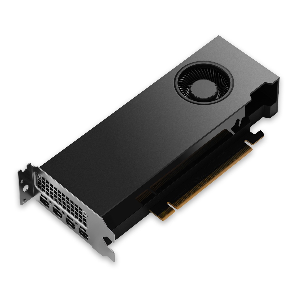 ELSA NVIDIA RTX PRO 2000 Blackwell (LP) (ENQRP2000B-16GER)