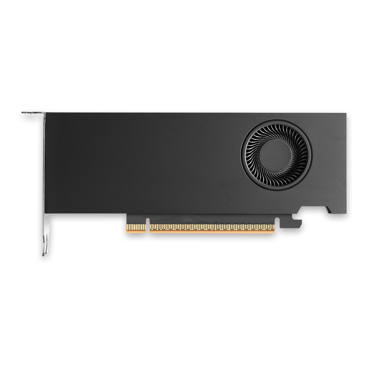 ELSA NVIDIA RTX PRO 2000 Blackwell (LP) (ENQRP2000B-16GER)