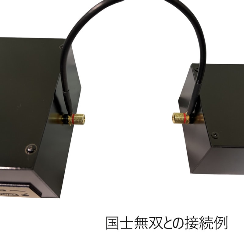 �� -kiwami- Game Changer �����¡� ���ۥ�����