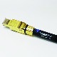 ���ܥƥ쥬���ȥʡ� M12 SWITCH IE GOLD �����б������å��󥰥ϥ�