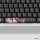 ��ͽ���ʡ�����ȯ��ͽ��� HYTE Sakura Miko Keycap Black + Mouse Pad