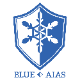 AINEX BA-GS02V ��Ǯ��ƳΨ���ꥹ���å� 0.5g