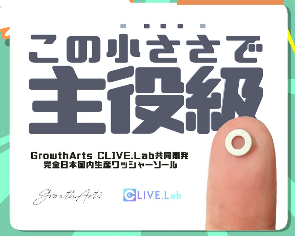 CLIVE.Lab �ޥ����� ��å��㡼������ - PolySlider - Donut Skate