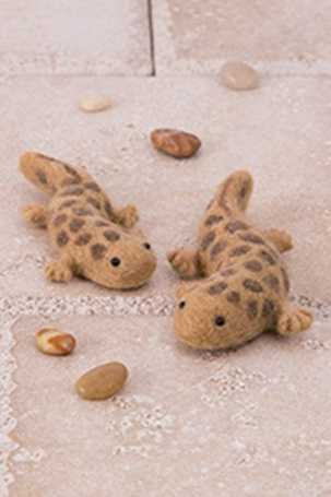 ４４１－５９４　オオサンショウウオ