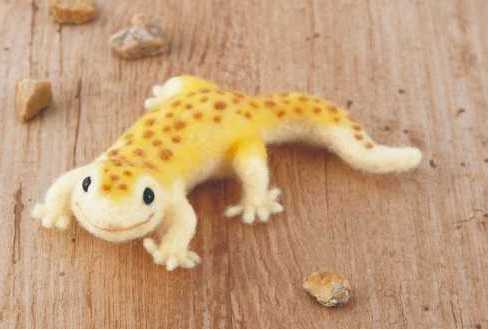 ４４１－６０３　ヒョウモントカゲモドキ