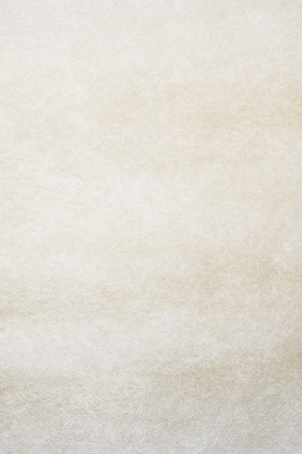 ４４０－００１－２５１　アクレーヌ　２５１