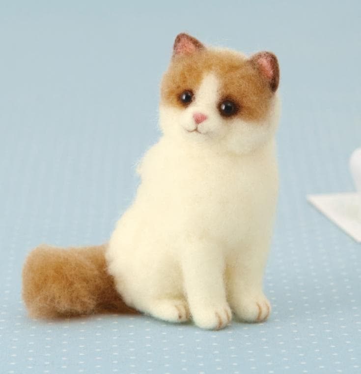 ４４１－５３７　ラグドール