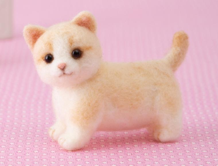 ４４１－５３８　マンチカン